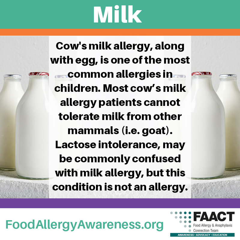 Dairy Milk Allergy Facts